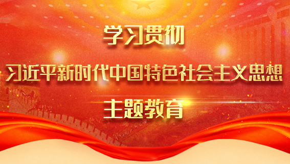 學(xué)習(xí)貫徹習(xí)近平新時(shí)代中國(guó)特色社會(huì)主義思想主題教育